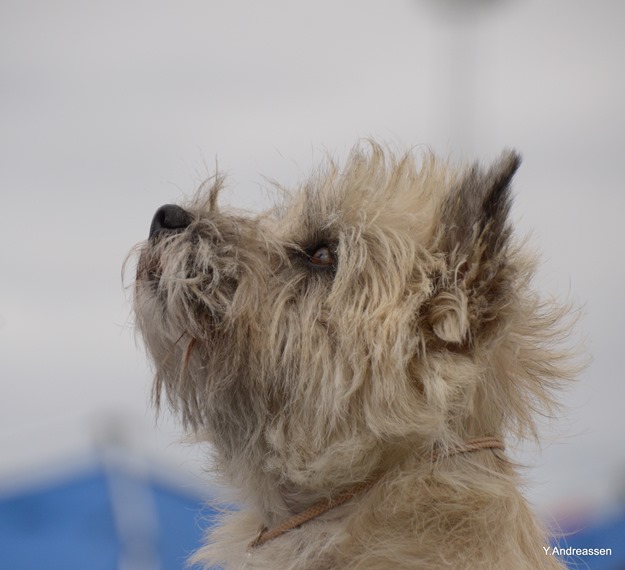 DSC_3185 DSC_3185