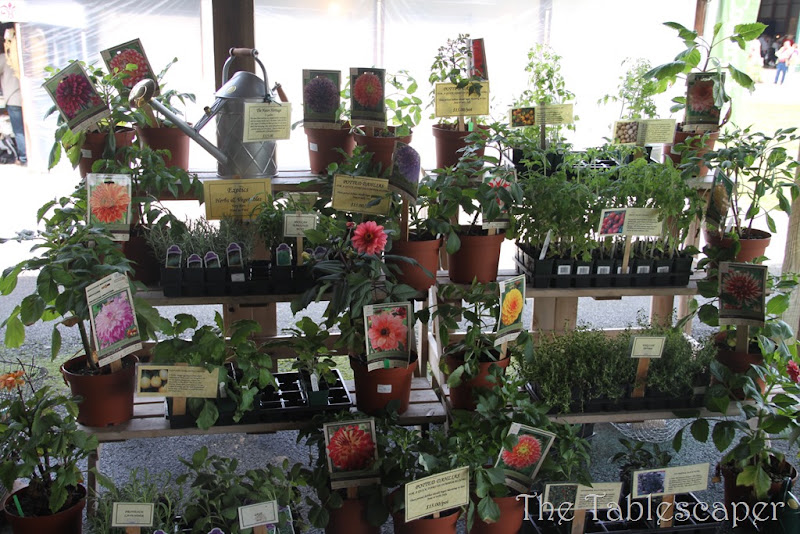 Country Living 063