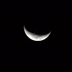 IMG_1147.jpg