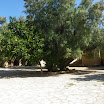 Tunesien2009-0312.JPG