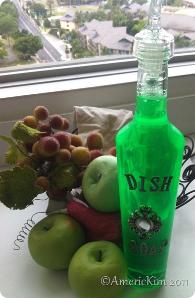 Dish Soap Dish Soap