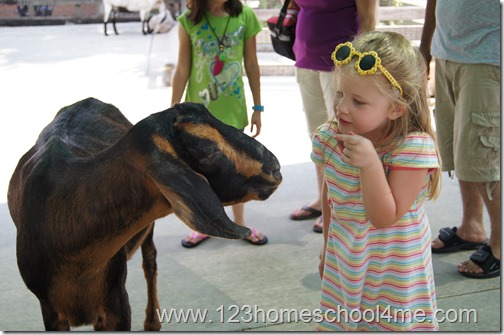 Homeschooling in Illinois: 100+ Fieltrip Ideas Homeschooling in Illinois: 100+ Fieltrip Ideas