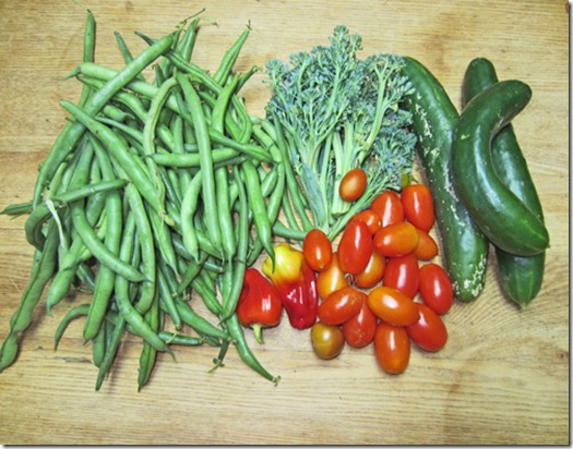 Bush beans, Juliet tomatoes and Summer Dance cucumbers