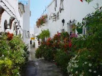 Typischer Garten in Vejer