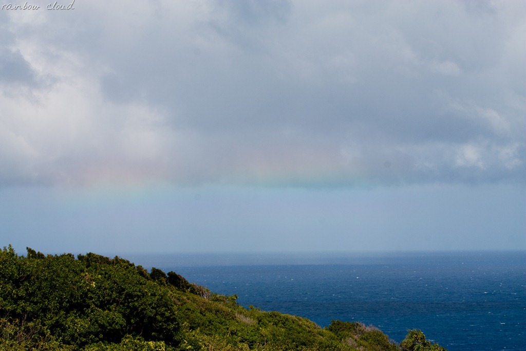 [20121212-IMG_2382-35.jpg]