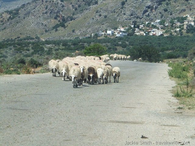 [crete20131068.jpg]