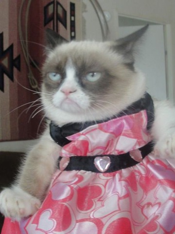 [funny-animals-cute-24%255B2%255D.jpg]
