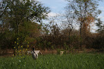 Cavita, India 124.JPG