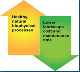 chart for low maintenance