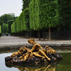 DSC_0087.jpg