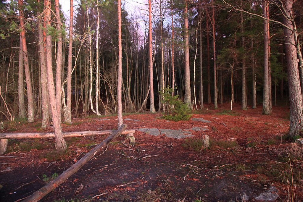 [08nov2011_Ingridtjern_5319%255B5%255D.jpg]