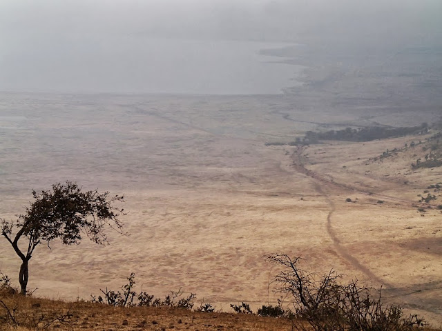 Serengeti2 003.JPG
