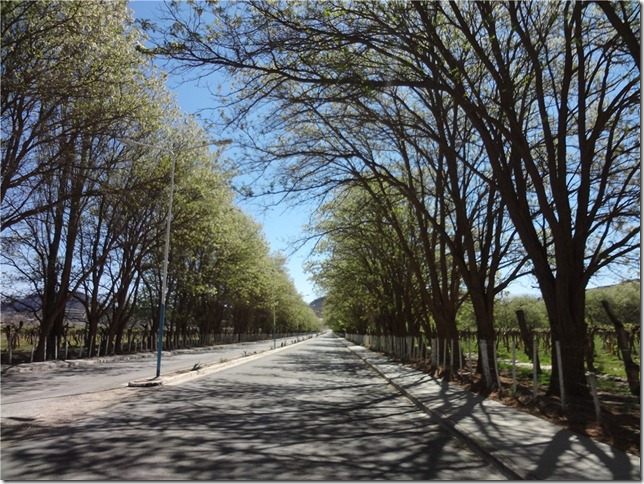 s-DSC00059 s-DSC00059