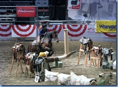 9782 Alberta Calgary Stampede 100th Anniversary - Cowboy Up Challenge Scotiabank Saddledome