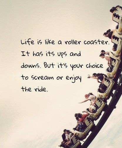 life_is_like_a_rollercoaster_quote_quote