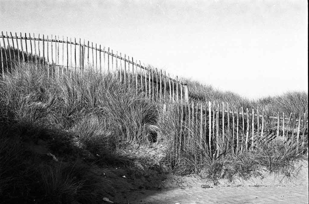 [Sand-Dune-Fencing-11%255B6%255D.jpg]