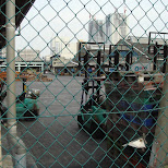 tsukiji fishmarket in tokyo in Ginza, Tokyo, Japan