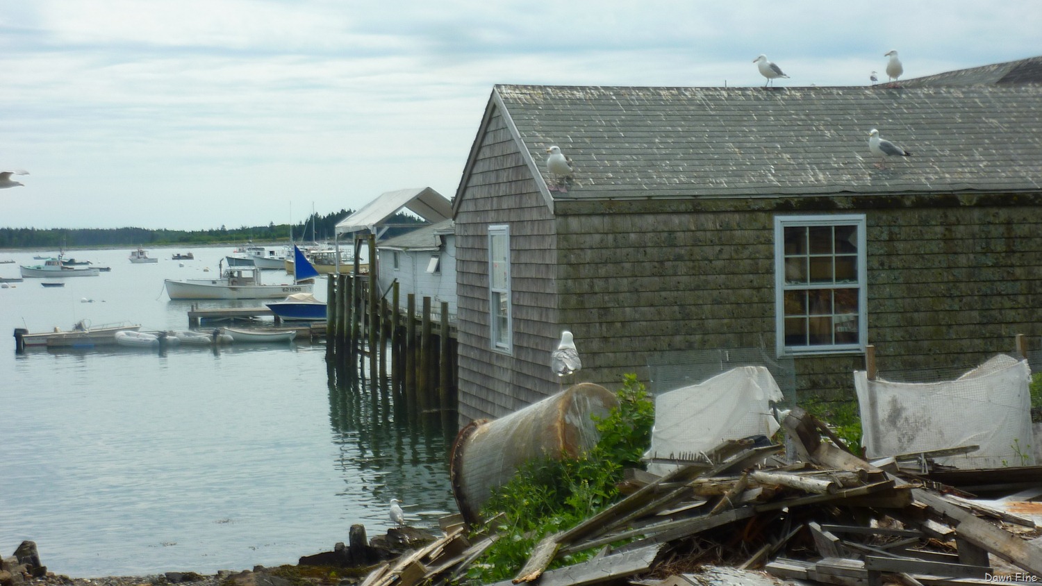 [Acadia-National-Park_1613.jpg]