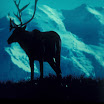 Caribou silhouette against Mt.McKinley.jpg