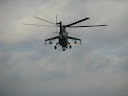 IMG_1117.jpg