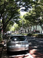 IMG_0356.jpg Photo