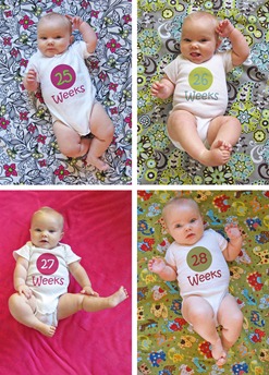 Nora Weeks 25 thru 28 collage
