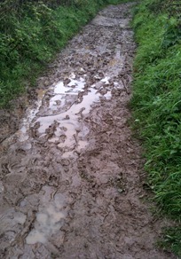 Thick oozing mud