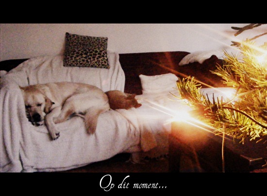Op dit moment...