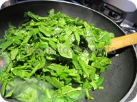 IMG_4416 IMG_4416
