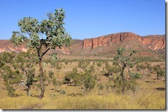 IMG_1671 IMG_1671