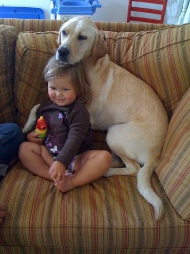 [dog%255B5%255D.jpg]