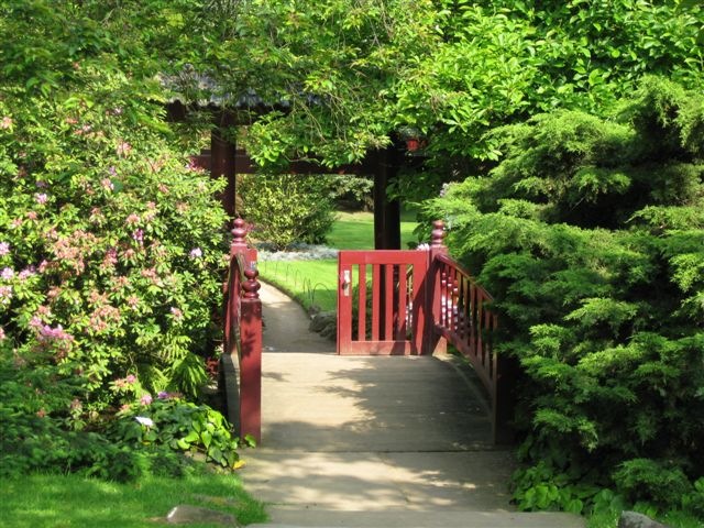 [japanischer%2520Garten%2520und%2520Rheinauen%2520006%255B3%255D.jpg]