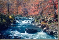 river river