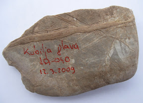 SOTA kamen/SOTA Stone