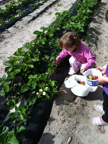 [IMG_4038%255B4%255D.jpg]