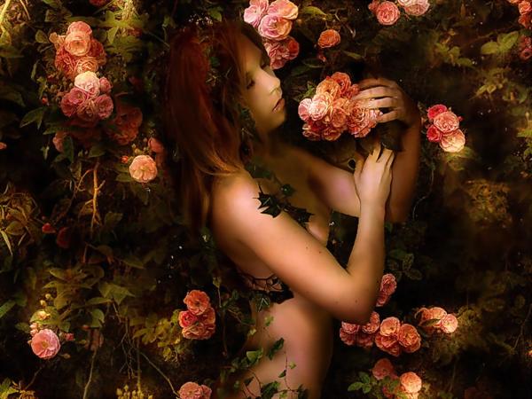 Girl In Rose Bush, Magic Beauties 3