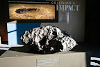 _MG_1706