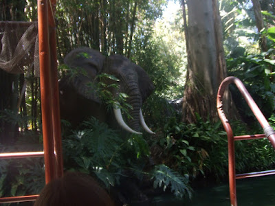 Elephants on the Jungle Cruise