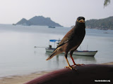 thailand