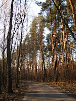 IMG_0155.JPG