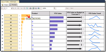 Preview the SSRS Report
