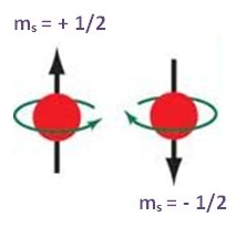 spin magnetico