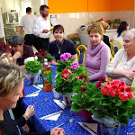IMGP7441.jpg