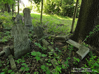 Cmentarz przy ul. Samotnej w Poznaniu