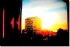 P1090053 P1090053