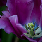 DSC_0722.jpg