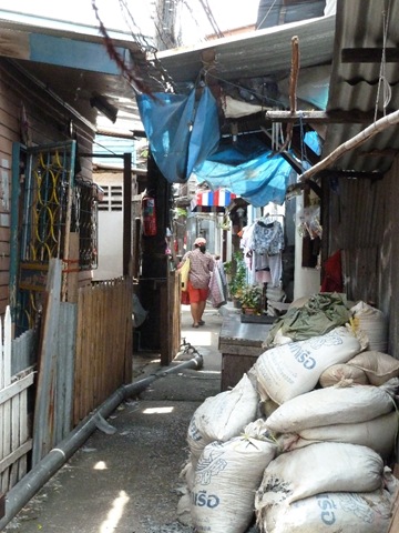 [P10905923.jpg]