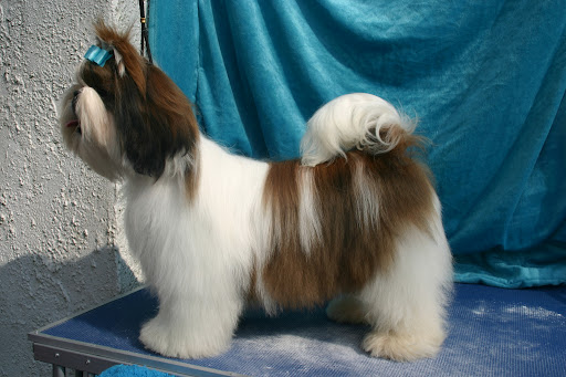 JUBILANT FROM AUDREYS PARADIS/6MONTHS/