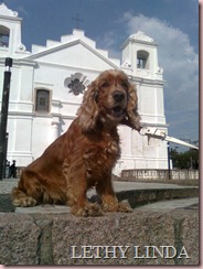 Foto1707 Foto1707