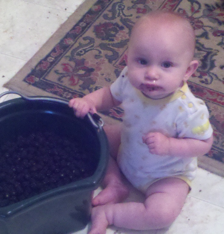 [Amelia%2520Blackberry%2520Girl%255B2%255D.jpg]